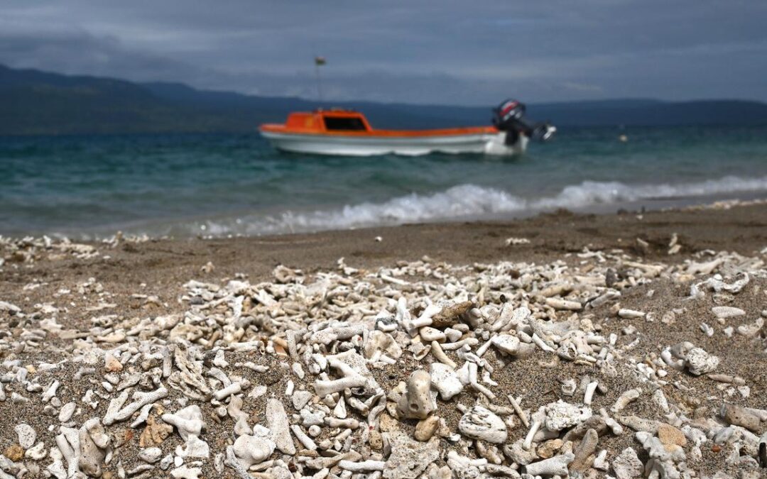 Pacific nations make passionate plea amid climate fears