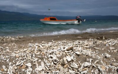 Pacific nations make passionate plea amid climate fears