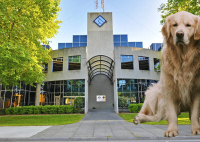 Corporate watch-puppy ASIC is all bark and no bite