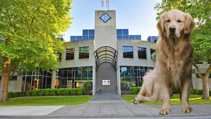 ASIC watchpuppy