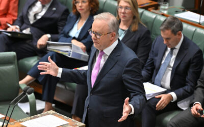 Anthony Albanese’s empty words won’t stop the genocide