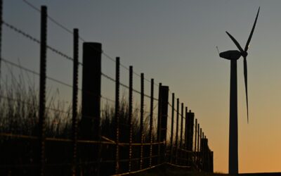 Wind farm fans ‘death row’ fears for endangered species