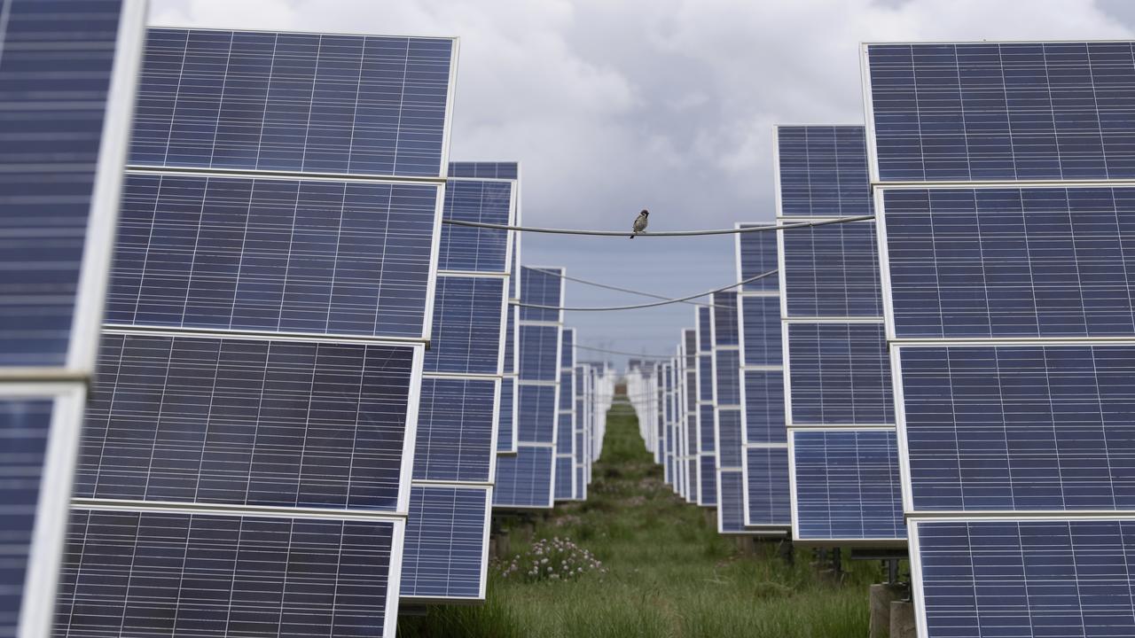 A bird on a cable strung between solar panels