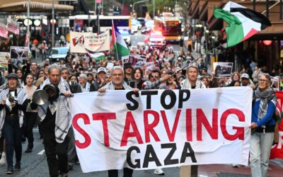 PM defends Palestine recognition after US ‘disgust’