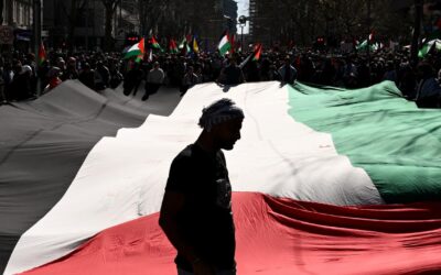 Thousands flood cities demanding action on Palestine