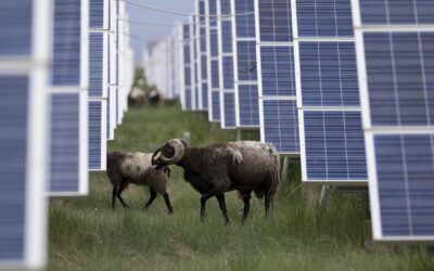 China races to build world’s largest solar farm