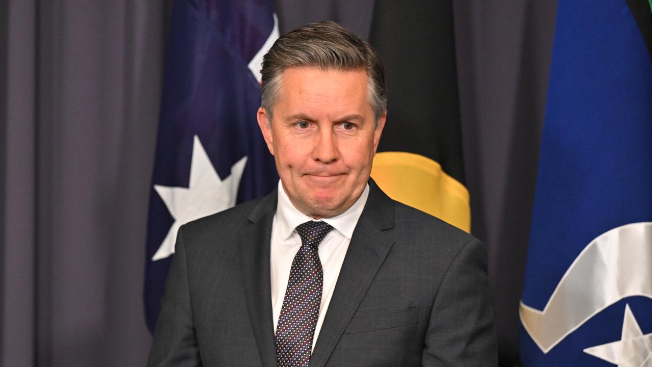 Mark Butler (file image)
