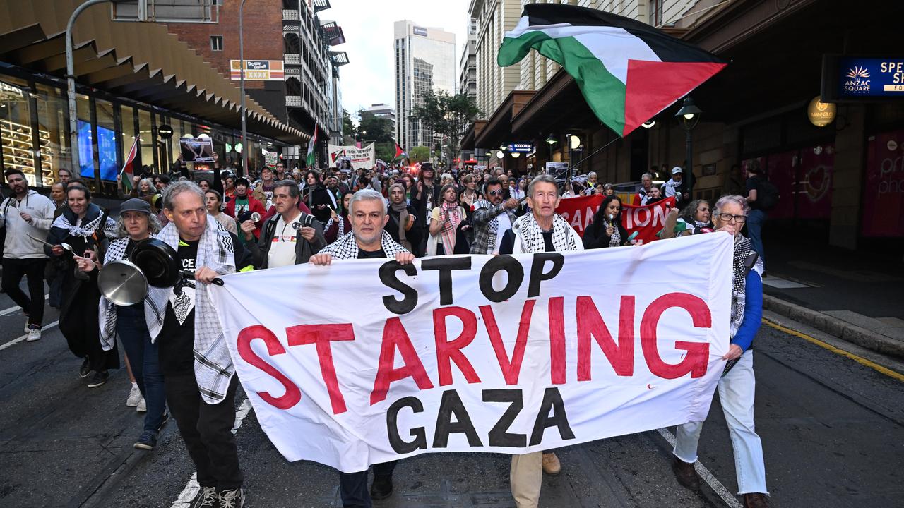 Pro-Palestinian rally