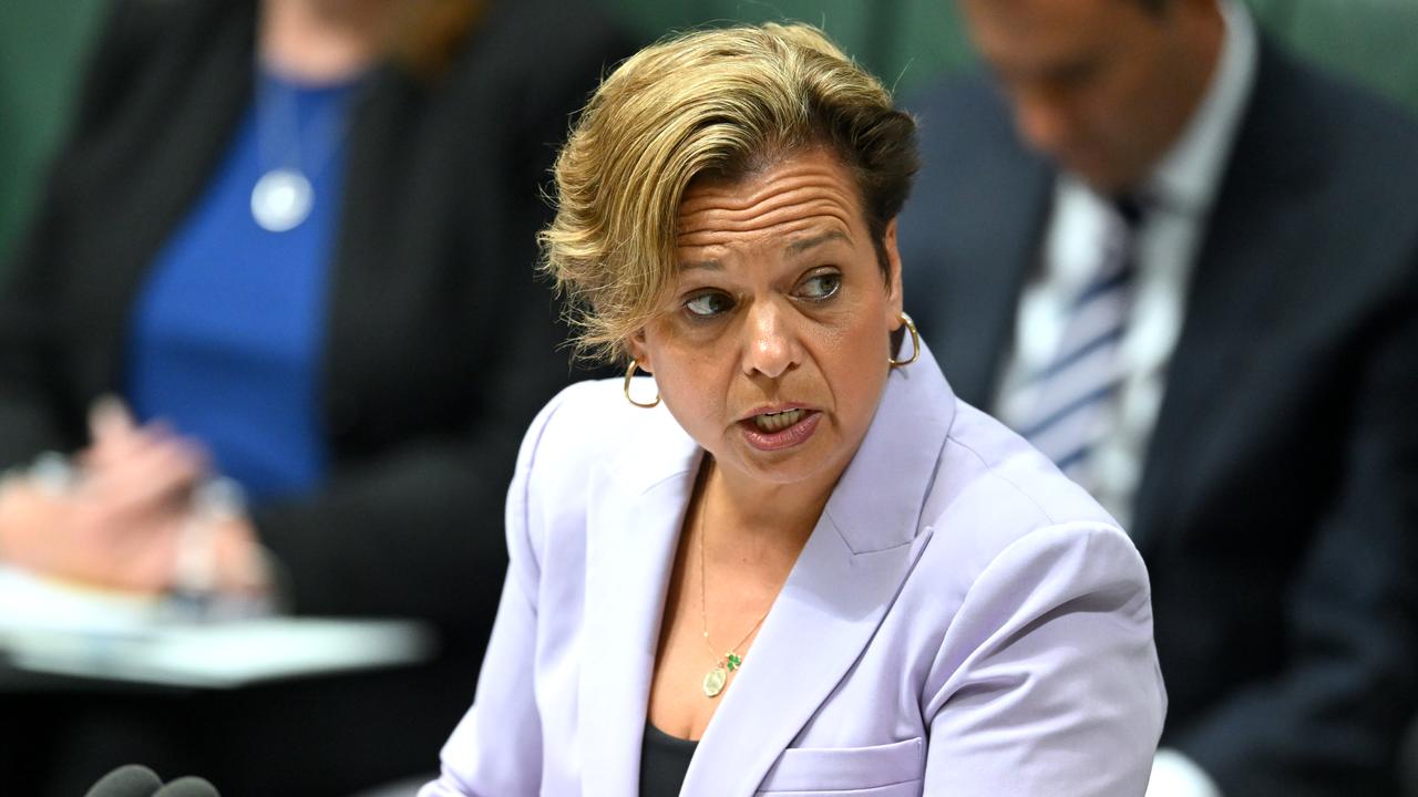 Michelle Rowland (file image)