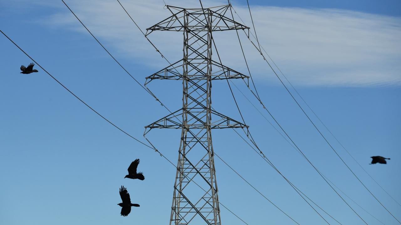 Crows fly past a high voltage transmission line (file image)