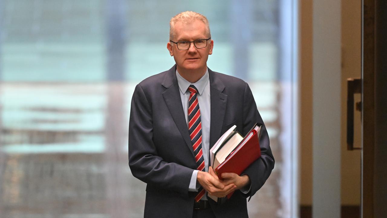 Minister for Home Affairs Tony Burke