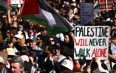 Rallies under way as Palestine support swells
