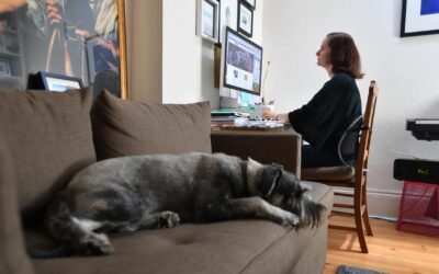 PM backs working from home laws amid ‘stunt’ claims