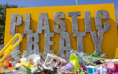 US memo urges countries to reject UN plastic caps