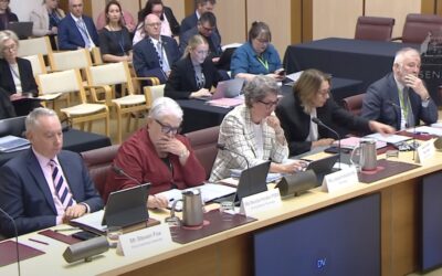 Parliament Hill cover-up still afoot as DPS stonewalls