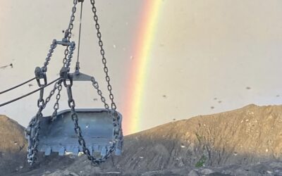 Dirty Rainbow: Govt picks up legal bills for TerraCom directors in coal fraud saga