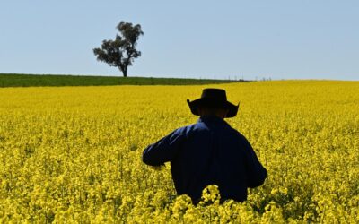 Farming export success sows seeds of growth goal reset