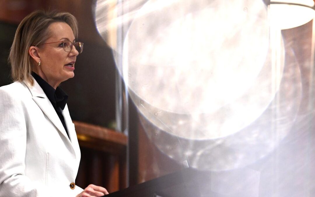 ‘Looks too high’: net zero spotlight on Liberal leader