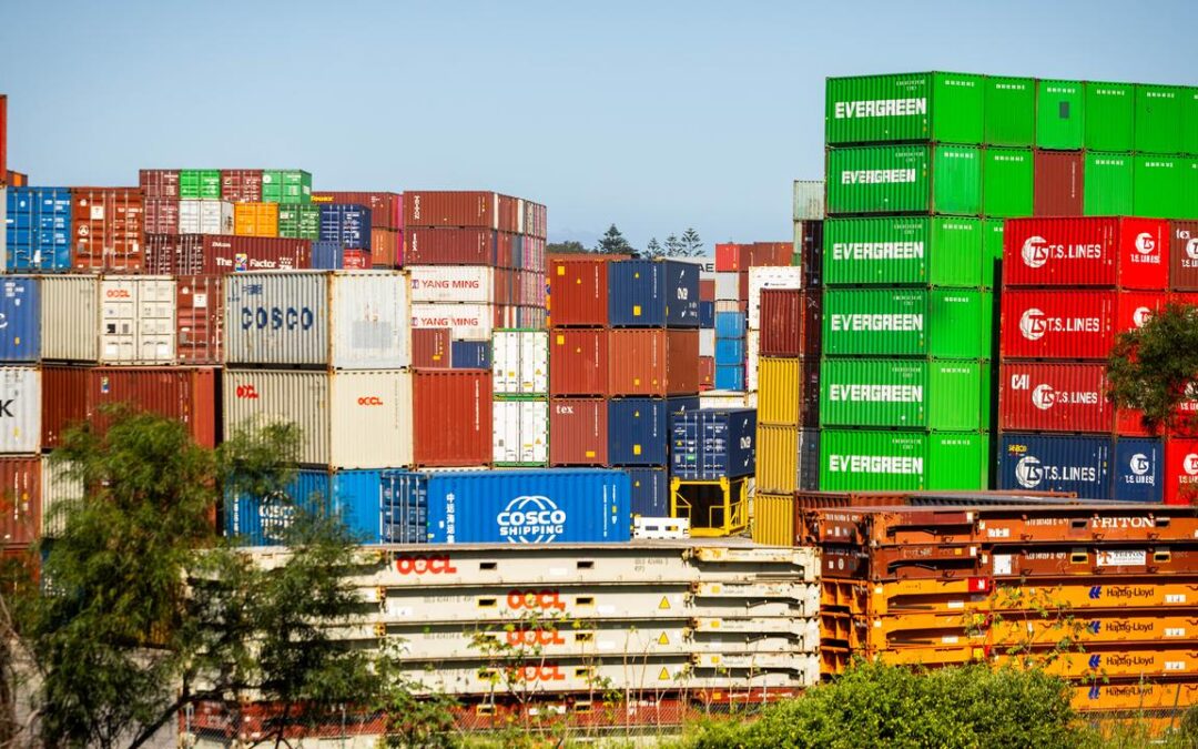 Economy shrugs off tariff turmoil to outperform peers