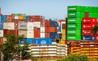 Economy shrugs off tariff turmoil to outperform peers