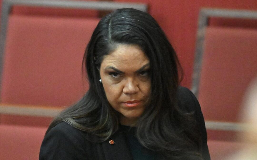 ‘Taken a dig’: senator slammed for migration vote claim