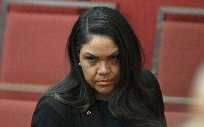 ‘Taken a dig’: senator slammed for migration vote claim