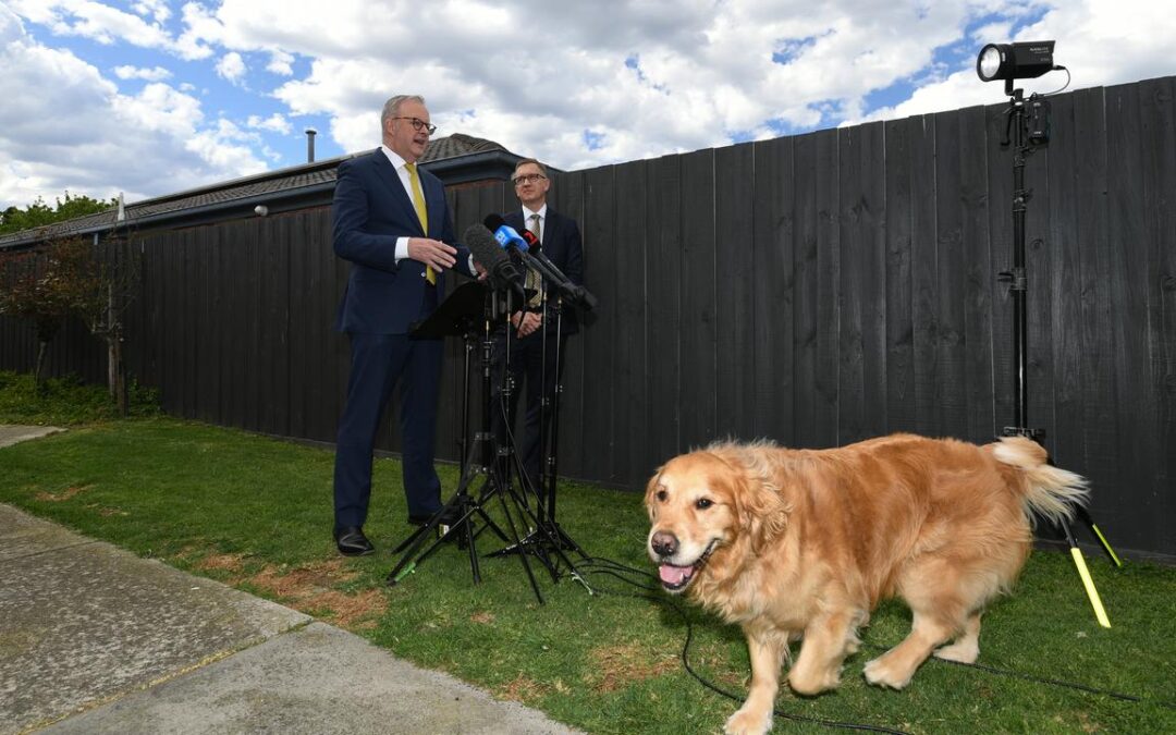 Anthony Albanese dodges power bill price drop guarantee