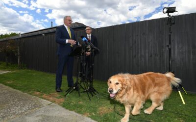 Anthony Albanese dodges power bill price drop guarantee