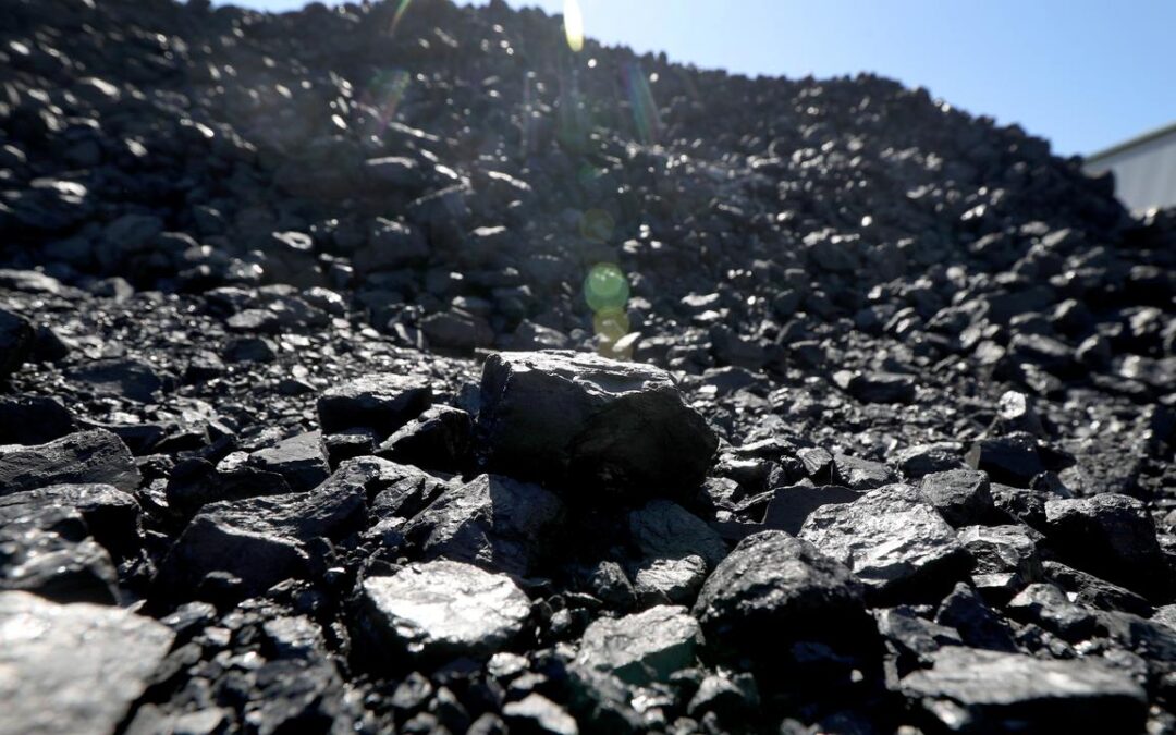 ‘Call to arms’: peak body joins coal royalties fight