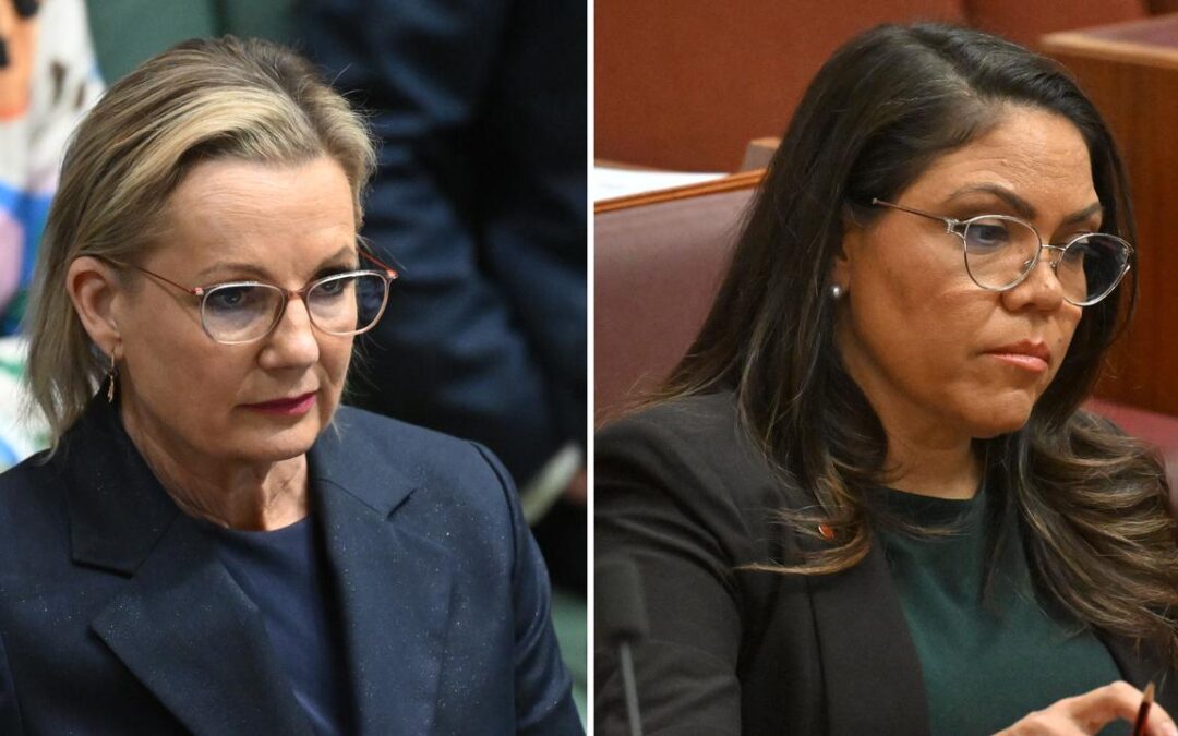 Senior Liberals back Ley after ‘cauterising the wound’