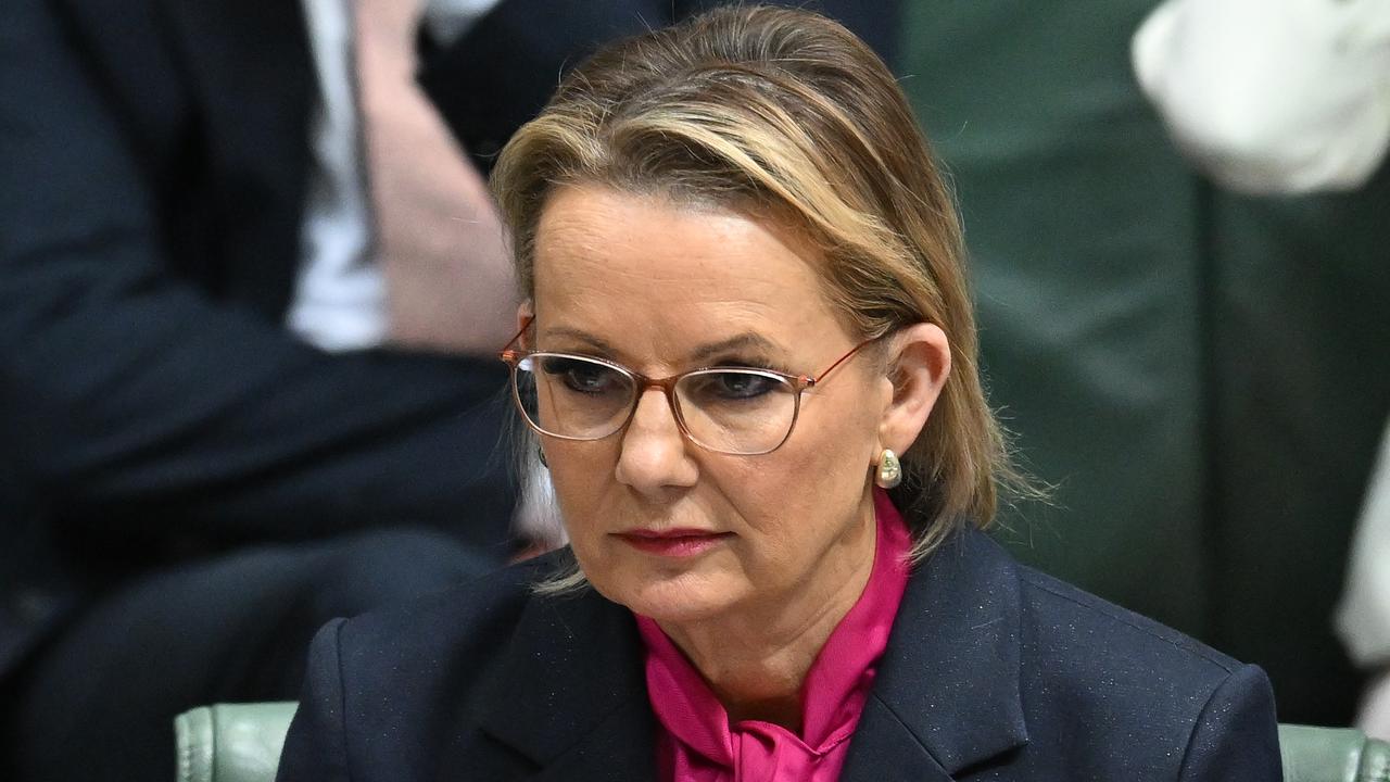 Opposition Leader Sussan Ley in parliament