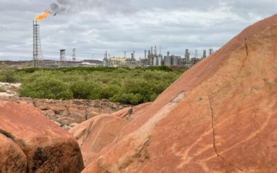 Rock art safeguards weakened despite gas hub’s harms