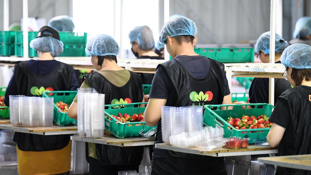 Workers