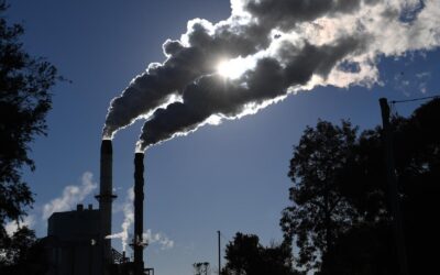 Officials disclose fresh detail on 2035 climate target