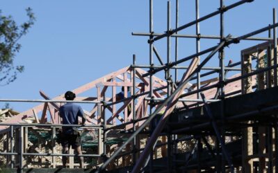 NZ offers blueprint for home-building productivity fix