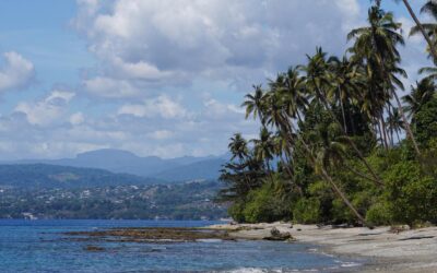Bolstered ties in PM’s sights at major Pacific talks
