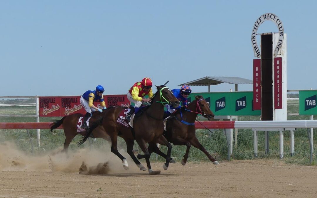 Brotherly bond key to Birdsville Races epic journey