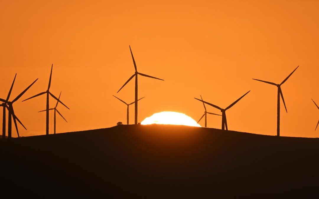 Big business seeks new dawn for environmental laws
