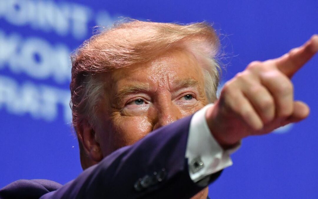 Trump says he will meet Albanese ‘very soon’