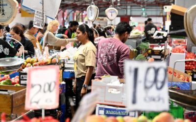 Australia’s ‘healthy’ jobs market gets monthly check-up