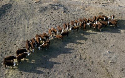 ‘Confronting’ climate impacts in Australia’s future