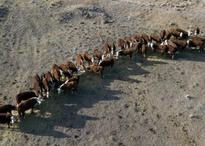 ‘Confronting’ climate impacts in Australia’s future