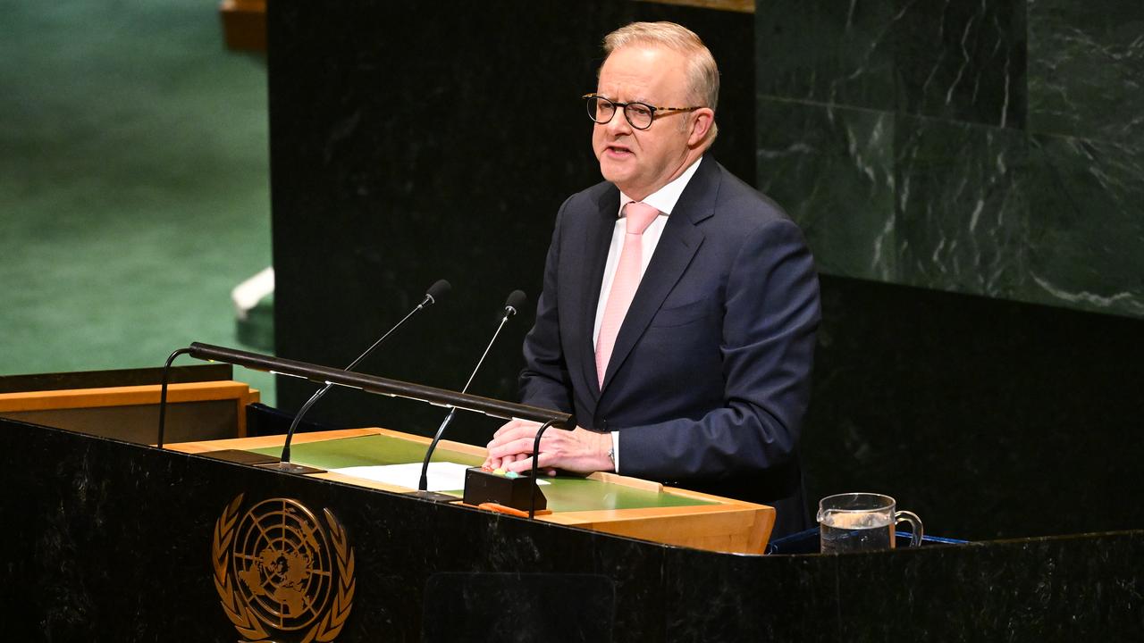 Anthony Albanese addresses the UN (file image)