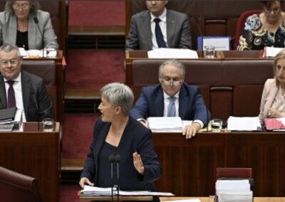 Teal Senate ticket – why we can’t have nice things