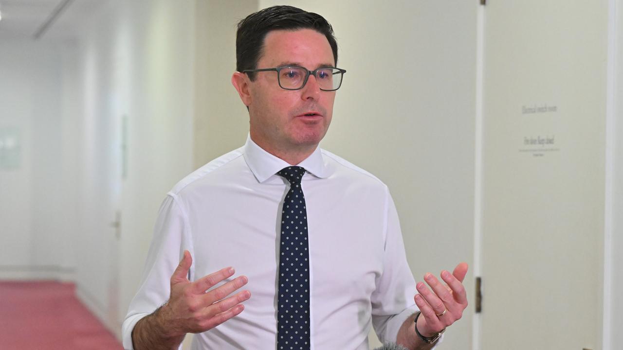 Nationals leader David Littleproud