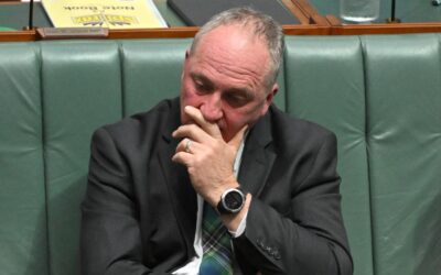 ‘It’ll end in tears’: former One Nation MP warns Joyce