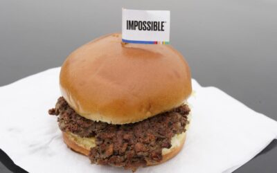 ‘Hot dog populism’: EU votes to ban veggie meat terms