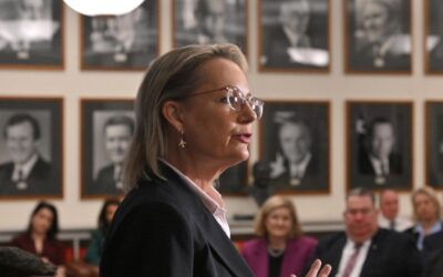 Getting back on track may take a while, senior Lib says