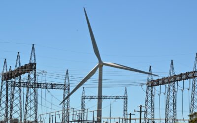 Showdown on green reforms as Labor faces heat on Optus