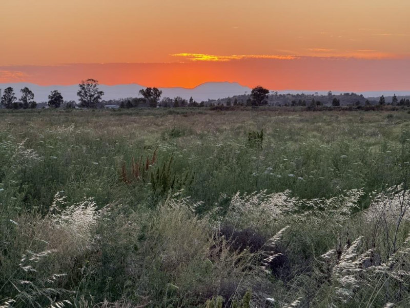 Narrabri sunrise